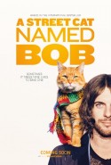 A Street Cat Named Bob izle – Sokak Kedisi Bob Türkçe Altyazılı izle