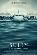 Sully Türkçe Dublaj izle