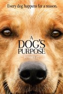 Can Dostum Türkçe Altyazılı izle – A Dog’s Purpose izle