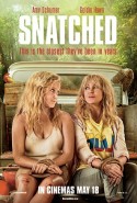 Cennette Sorun Var Türkçe Dublaj izle - Snatched izle