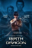 Ejderin Doğuşu Türkçe Dublaj izle - Birth of the Dragon izle