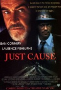 Gizli Gerçek Türkçe Dublaj izle - Just Cause izle