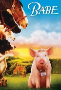 Bebe Türkçe Dublaj izle – Babe izle