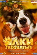 Evde Köpek Başına Türkçe Dublaj izle – Paws, Bones & Rock’n’roll İzle