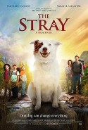 The Stray Türkçe Altyazılı izle