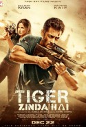 Tiger Zinda Hai Türkçe Altyazılı izle