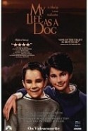 Köpek Olarak Hayatım izle - Mitt liv som hund