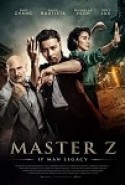 Ip Man: Cheung Tin Chi izle