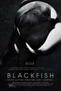 Kara Balık izle