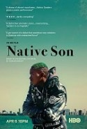 Vatan Evladı izle