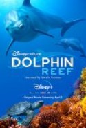 Dolphin Reef izle