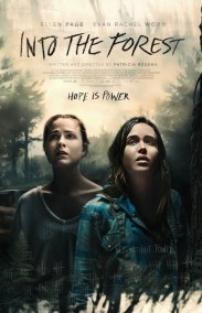 Ormana Doğru - Into the Forest Türkçe Dublaj izle