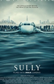 Sully Türkçe Dublaj izle