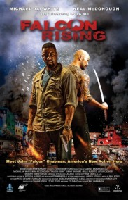 Kod Adı Şahin Türkçe Dublaj izle - Falcon Rising izle
