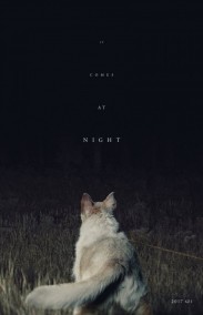 Gece Gelen Türkçe Dublaj izle - It Comes at Night izle