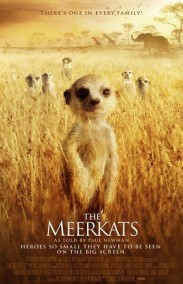 Mirket Ailesi Türkçe Dublaj izle – The Meerkats İzle