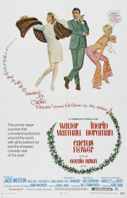 Kaktüs Çiçeği Türkçe Dublaj izle - Cactus Flower izle