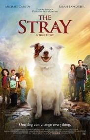 The Stray Türkçe Altyazılı izle