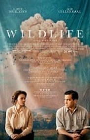 Yangın Yeri izle