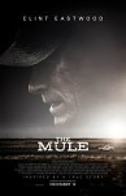 Kaçakçı izle