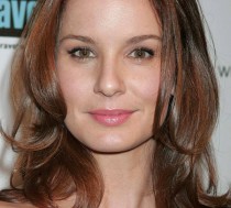 Sarah Wayne Callies